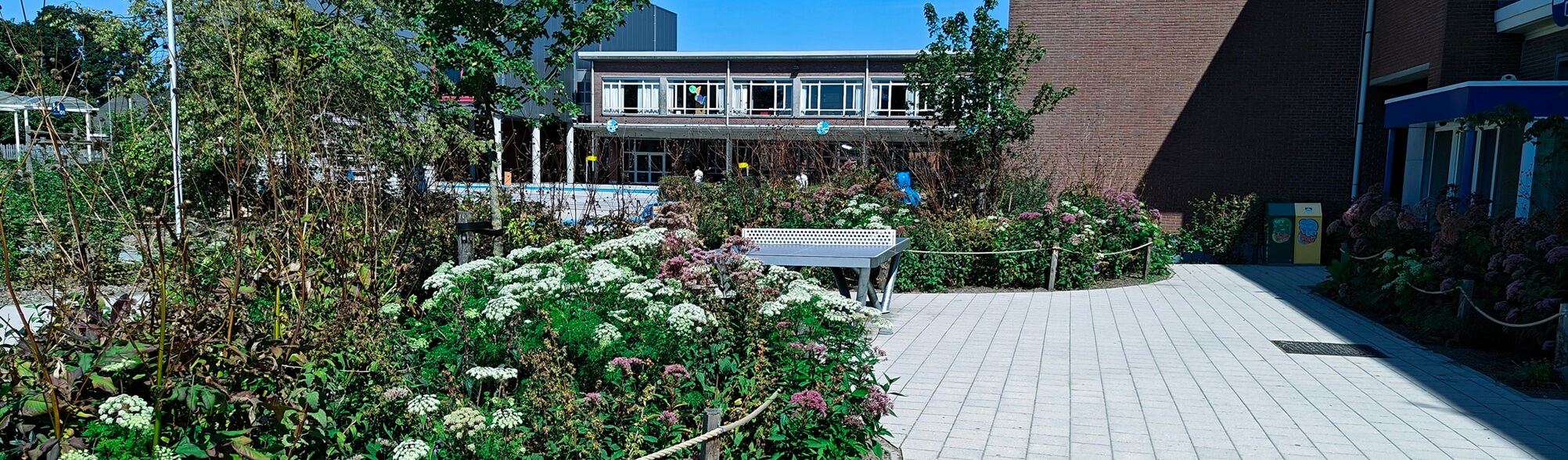Botanical garden